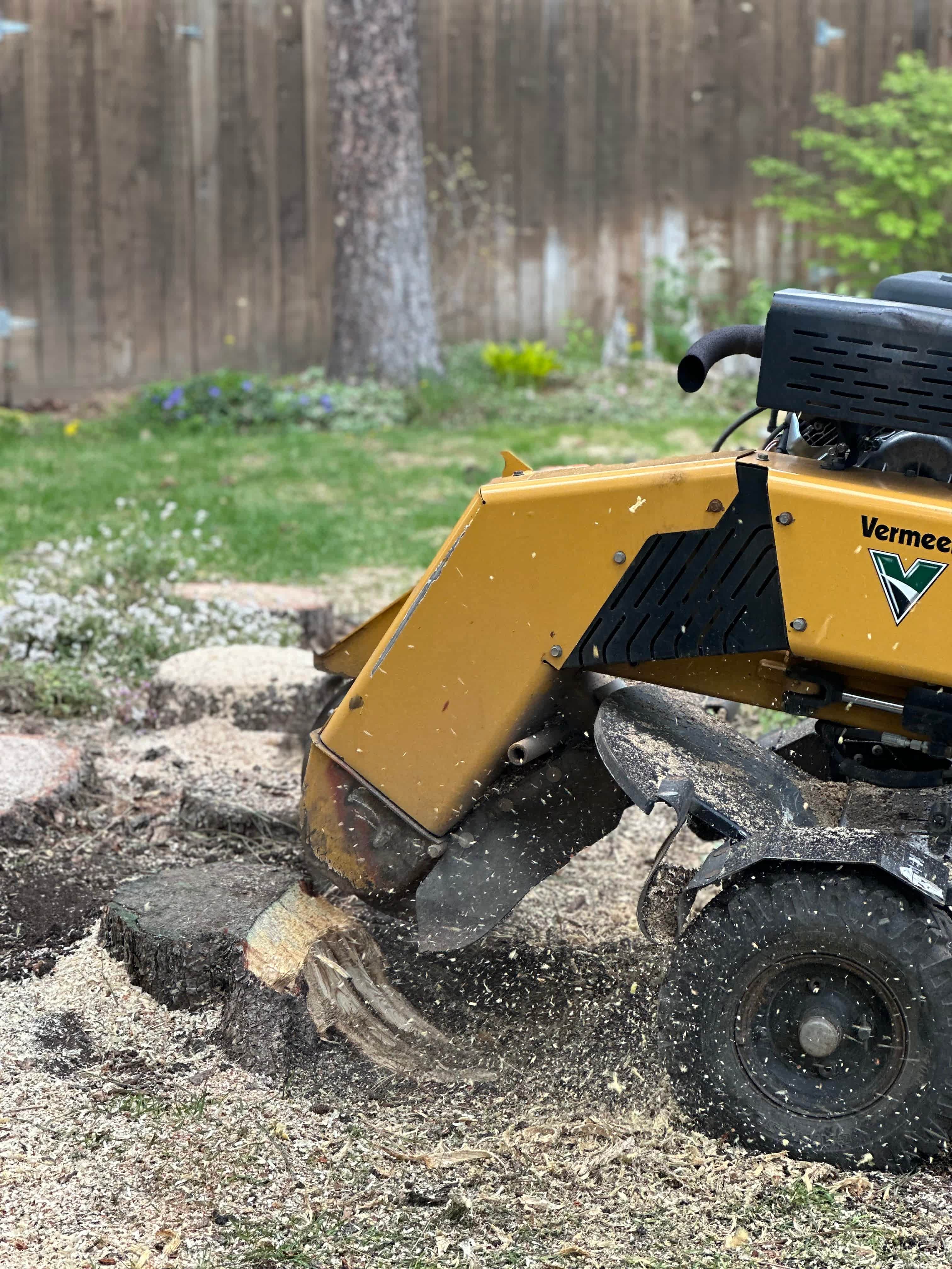 stump grinding