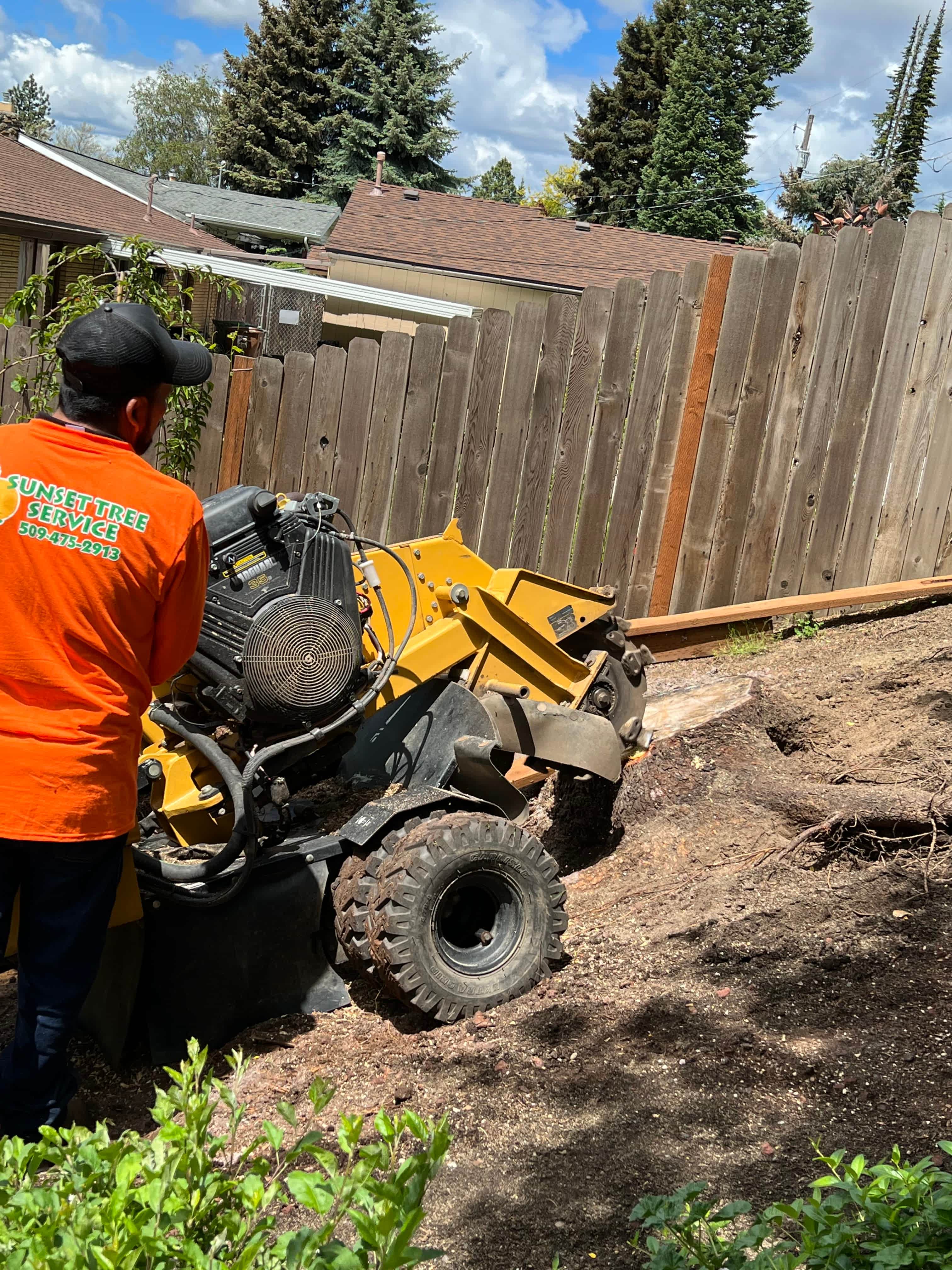 stump grinding pov